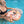 Load image into Gallery viewer, Mambobaby Air-Free Pizza Chest Float with 3D Canopy
