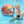 Load image into Gallery viewer, Mambobaby Air-Free Starfish Chest Float with 3D Canopy
